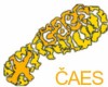 www.caes.cz